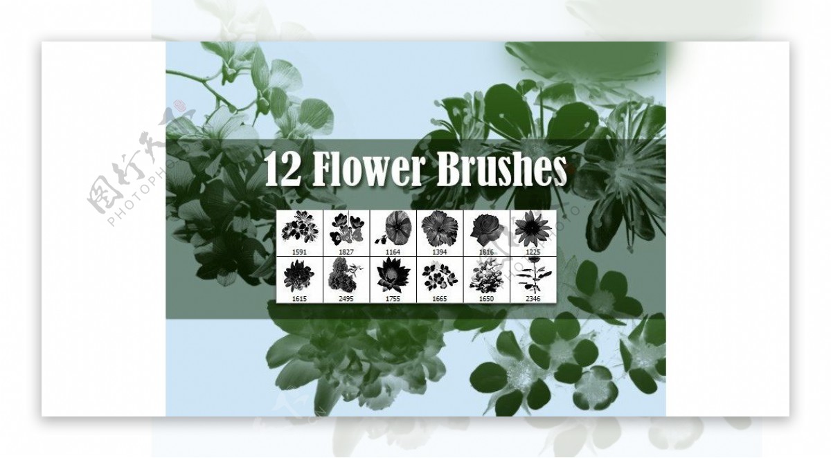 12款超酷的花朵和花枝装饰笔刷