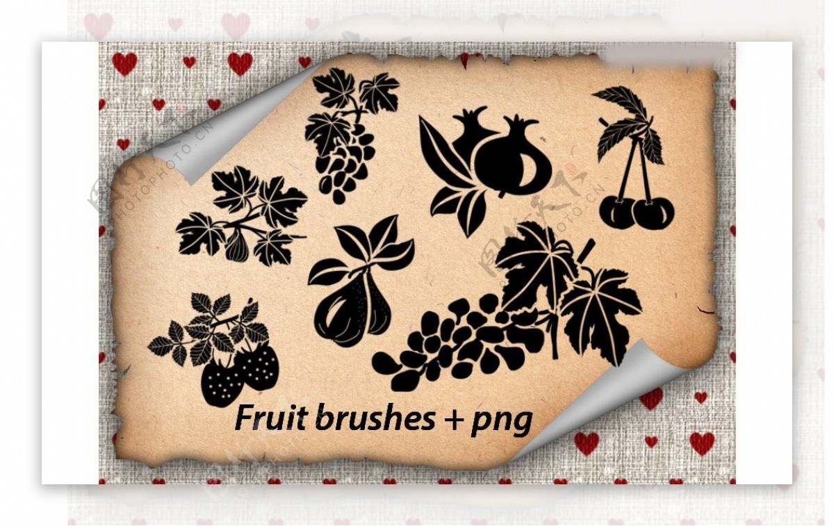 葡萄草莓和樱桃等植物PS笔刷