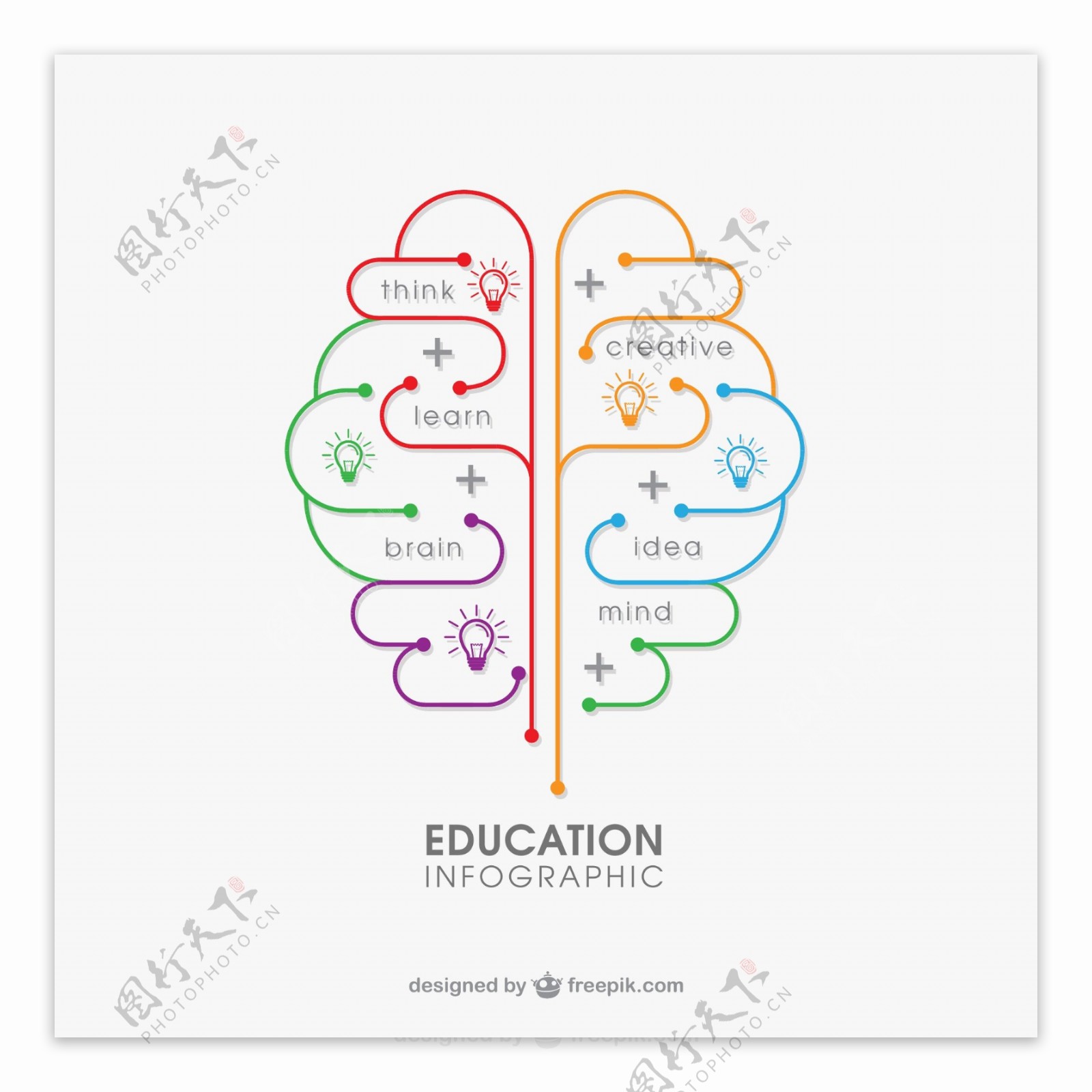 创意大脑教育信息图矢量素材