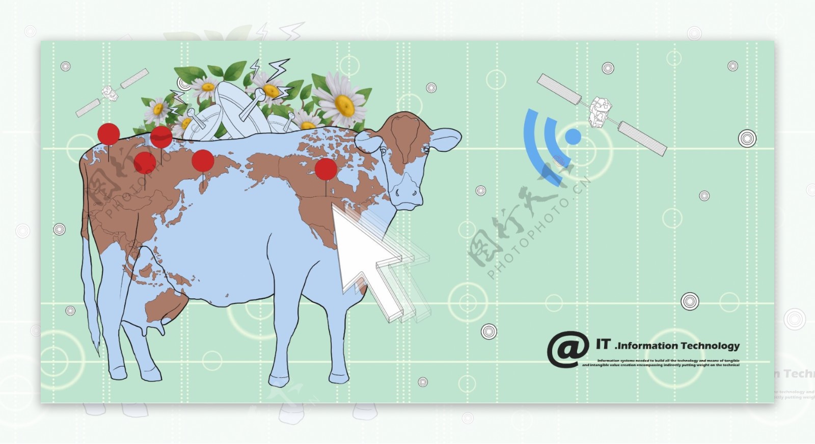 奶牛与网络科技