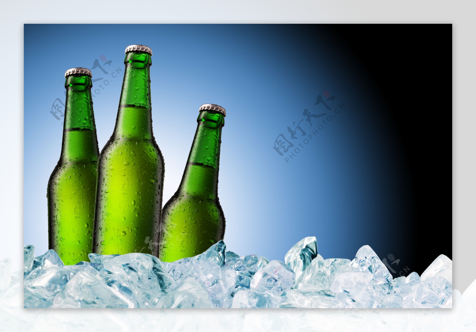 冰块里的啤酒图片