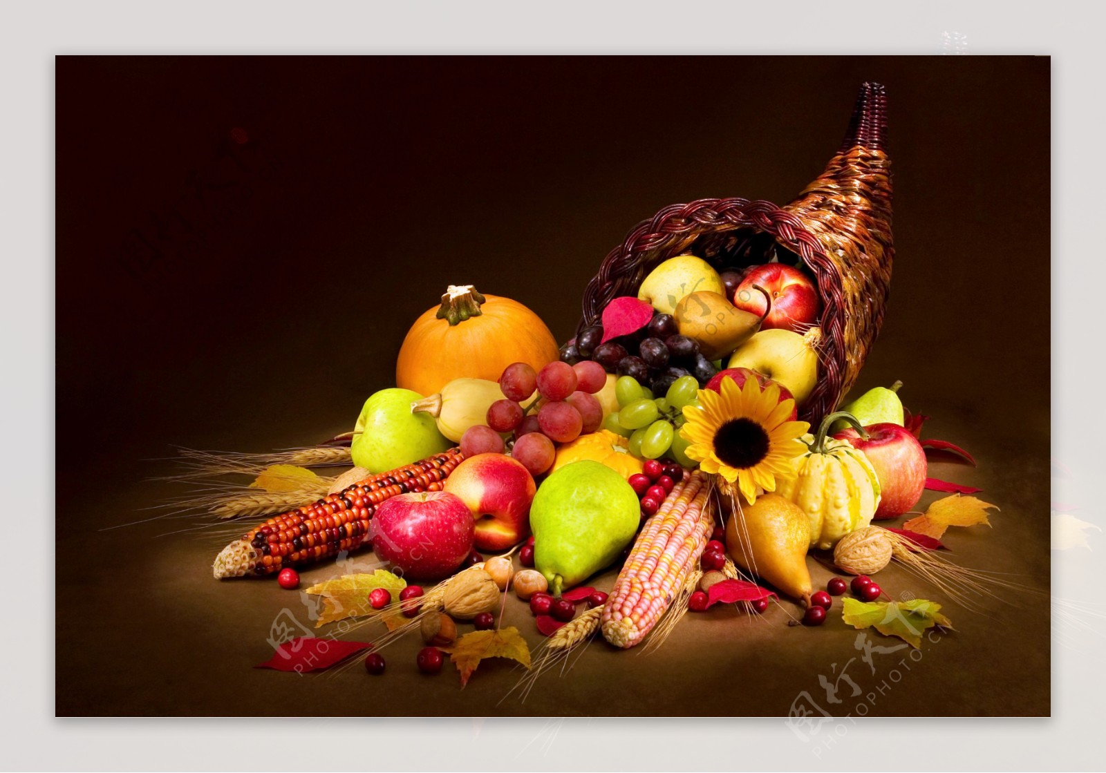 秋天蔬菜水果图片