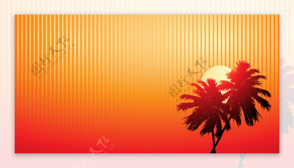 落日下的椰子树剪影