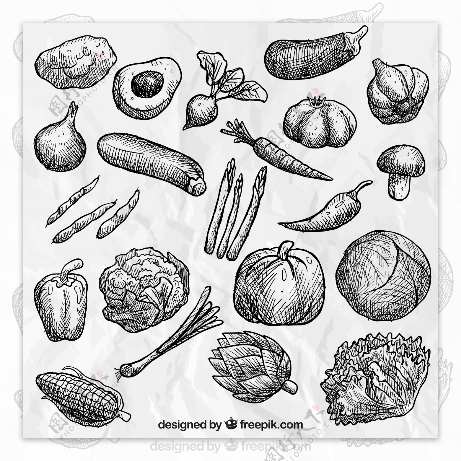 素描手绘21款蔬菜