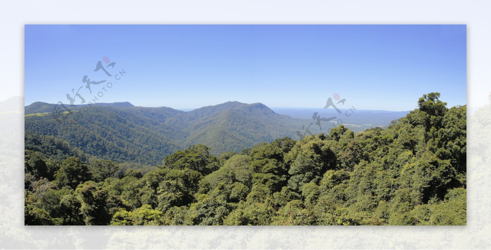 森林山峦风景图