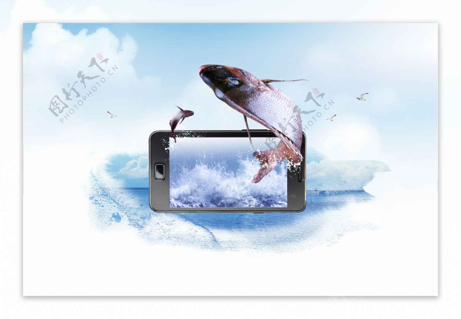 高清大屏手机促销海洋生物背景海报