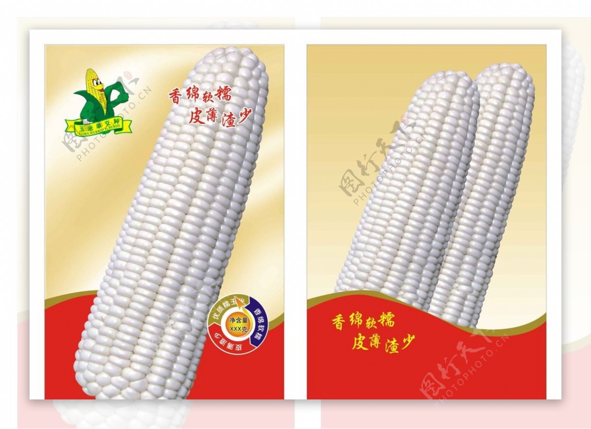 吃了这么多年的玉米 竟不知道吃玉米还有这么多小诀窍__万家热线-安徽门户网站