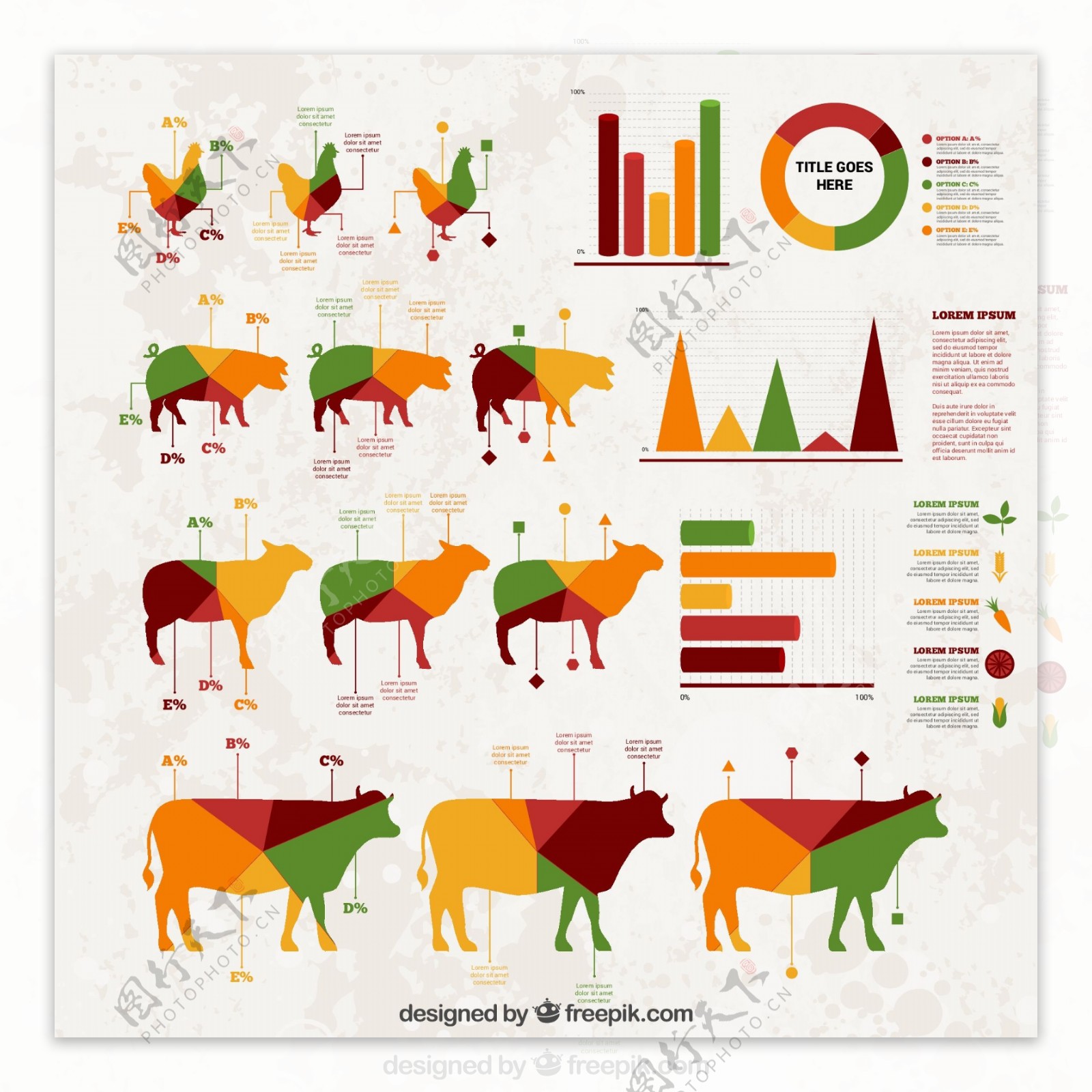 畜牧产品商务信息图矢量素材图片