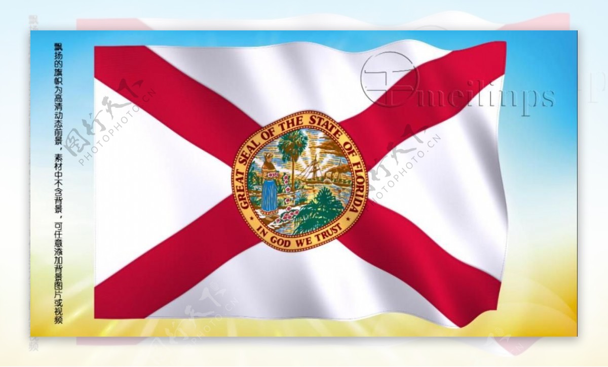 动态前景旗帜飘扬230佛罗里达州