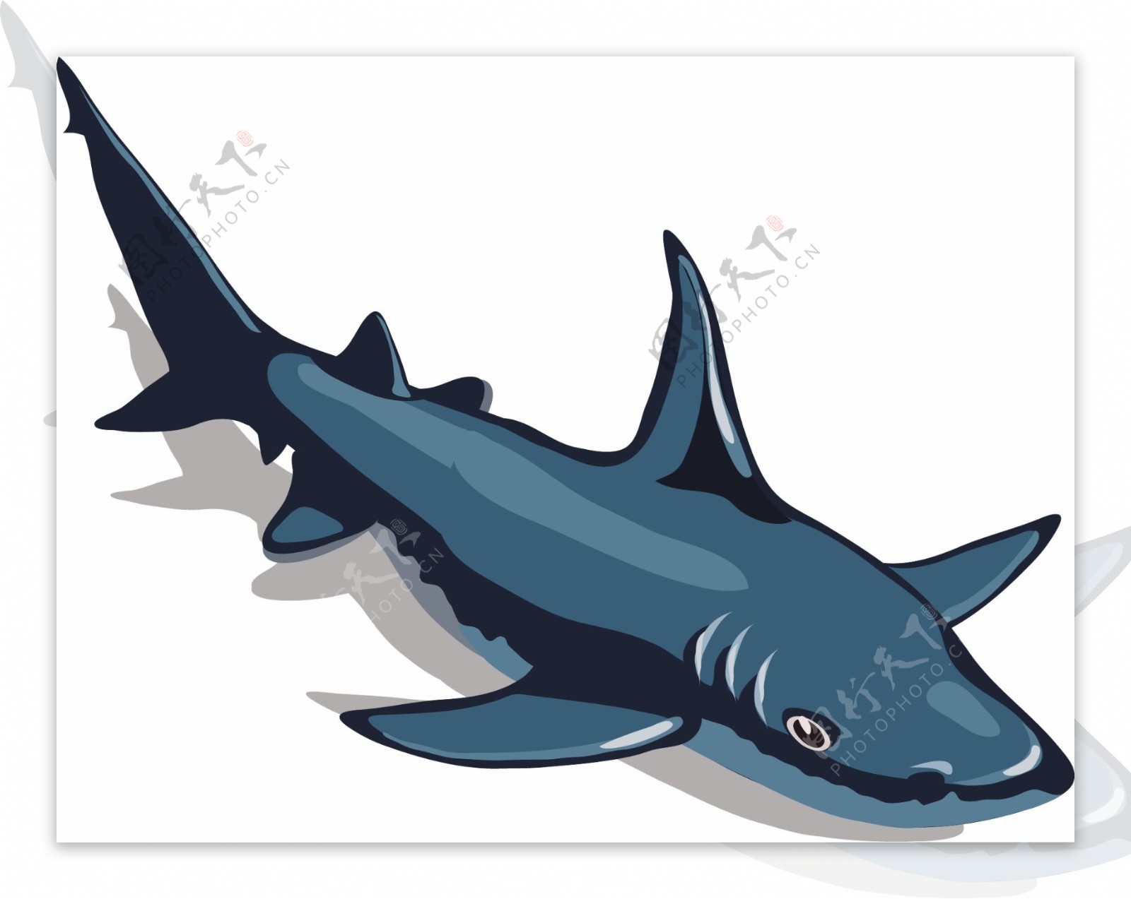 蓝色手绘的大鲨鱼