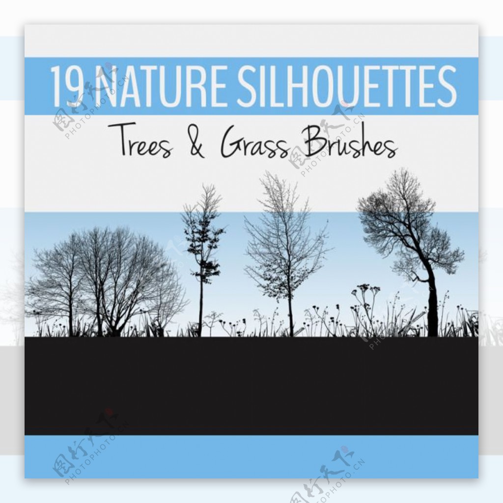 19种树木剪影Photoshop笔刷素材