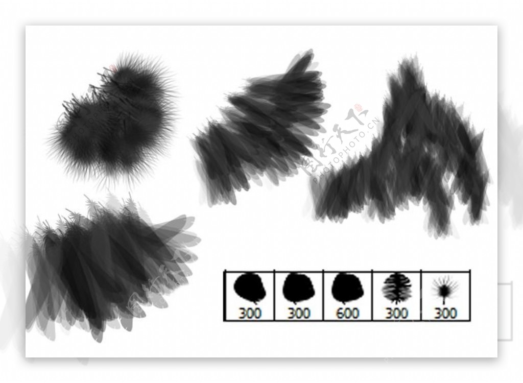 5种羽毛效果笔刷