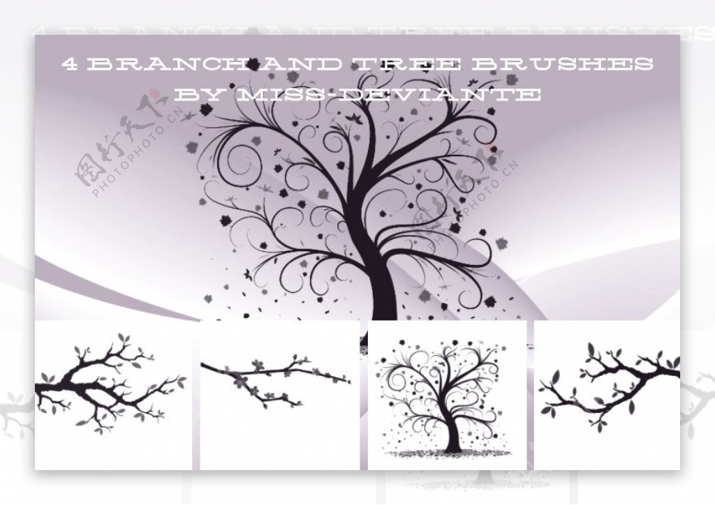 艺术植物树枝树杈大树图案photoshop笔刷素材