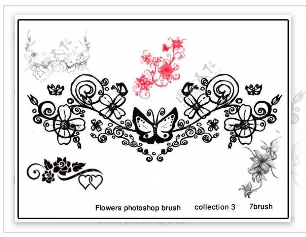 矢量花朵花边花纹PS装饰笔刷下载.3