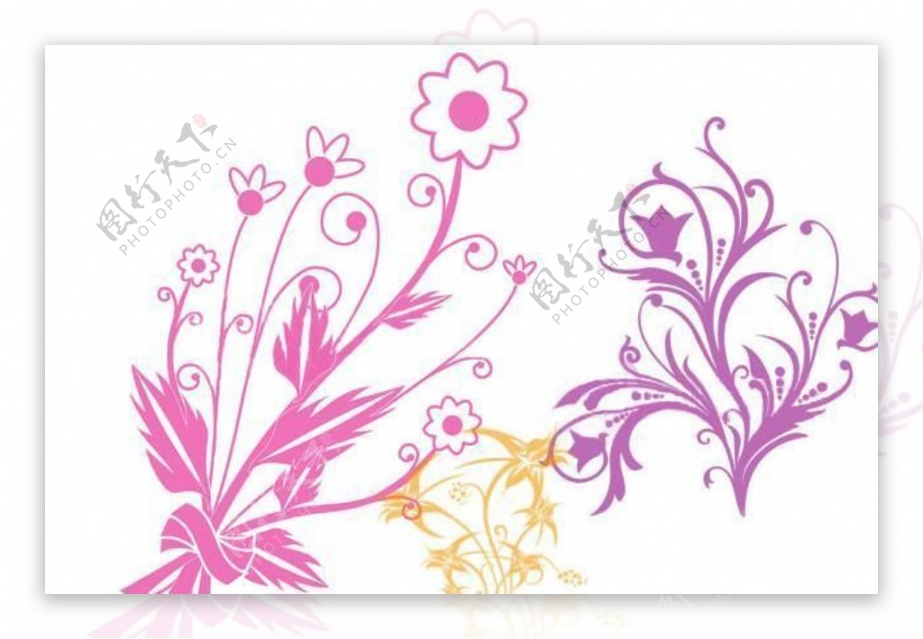 漂亮的植物花纹照片美图背景边框饰品PS笔刷.75