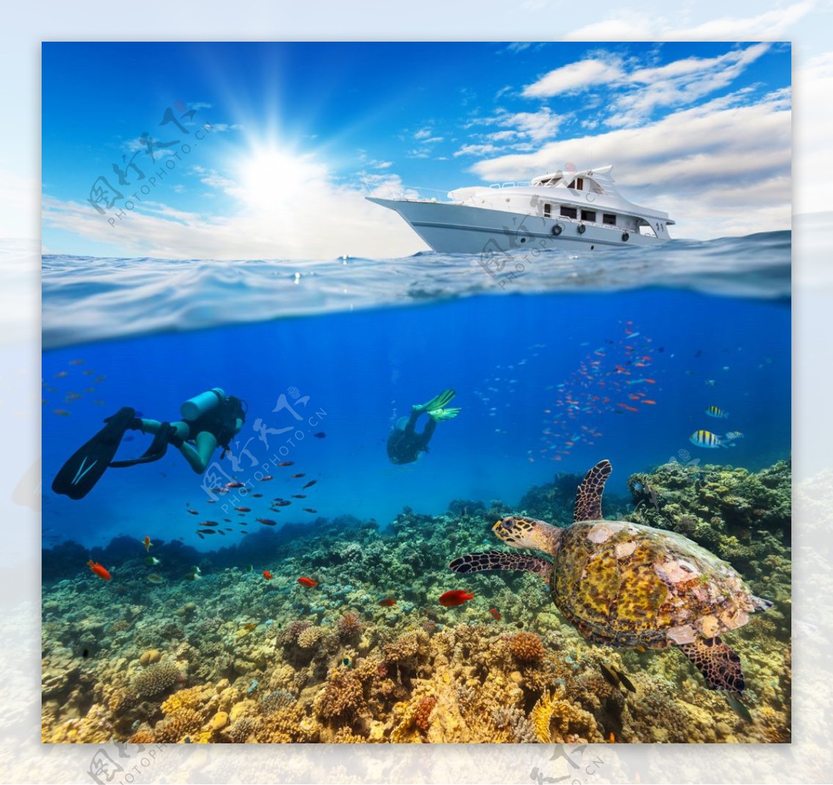 海龟潜水员海底风光图片