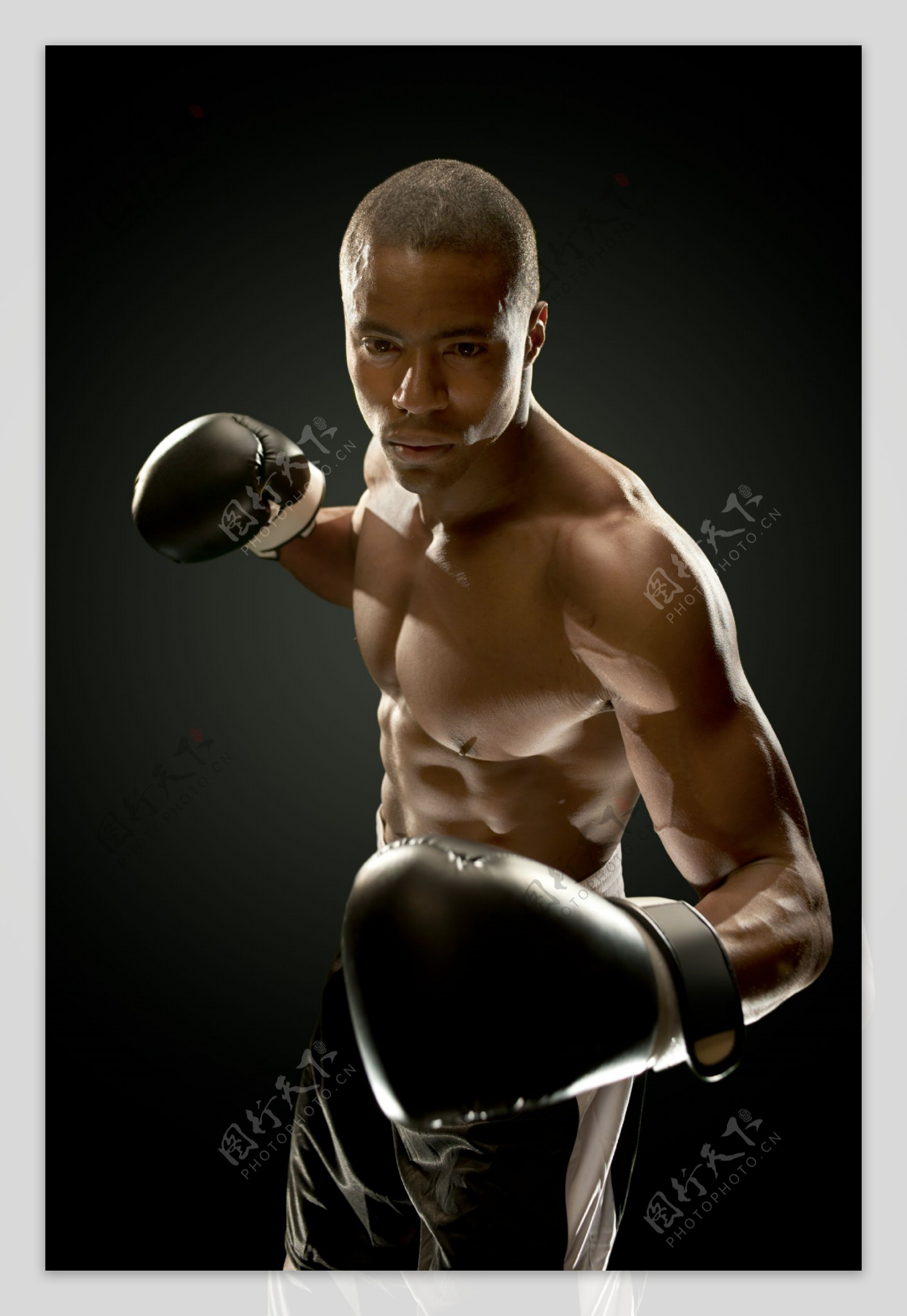 拳击手摄影素材图片