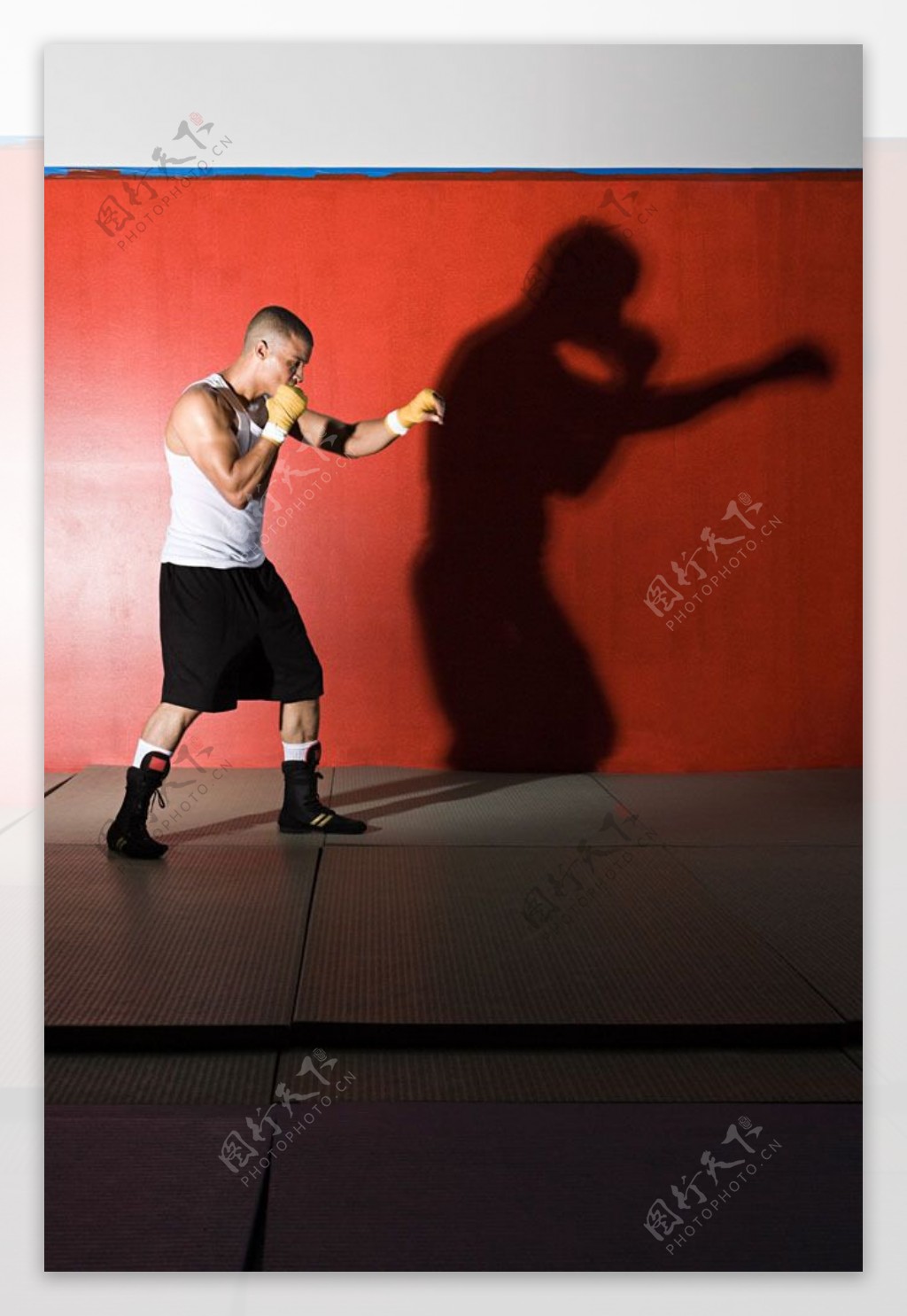 训练中的拳击手影子特写图片图片