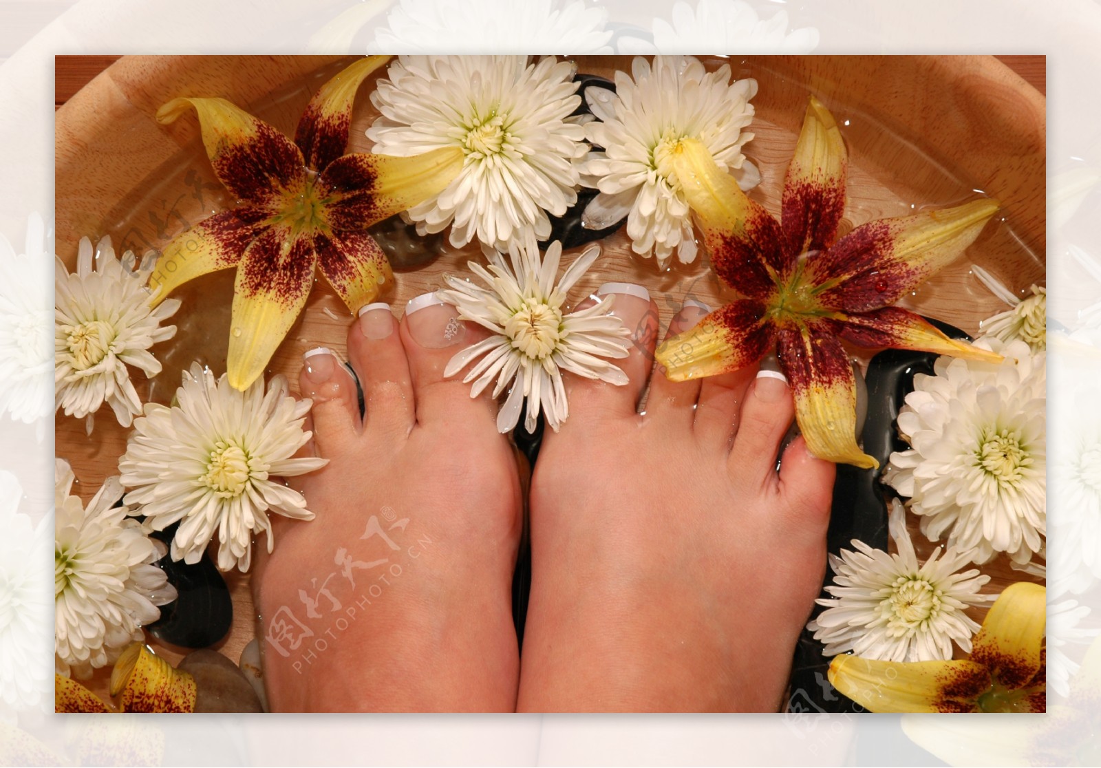 正在用花朵洗脚的双足图片
