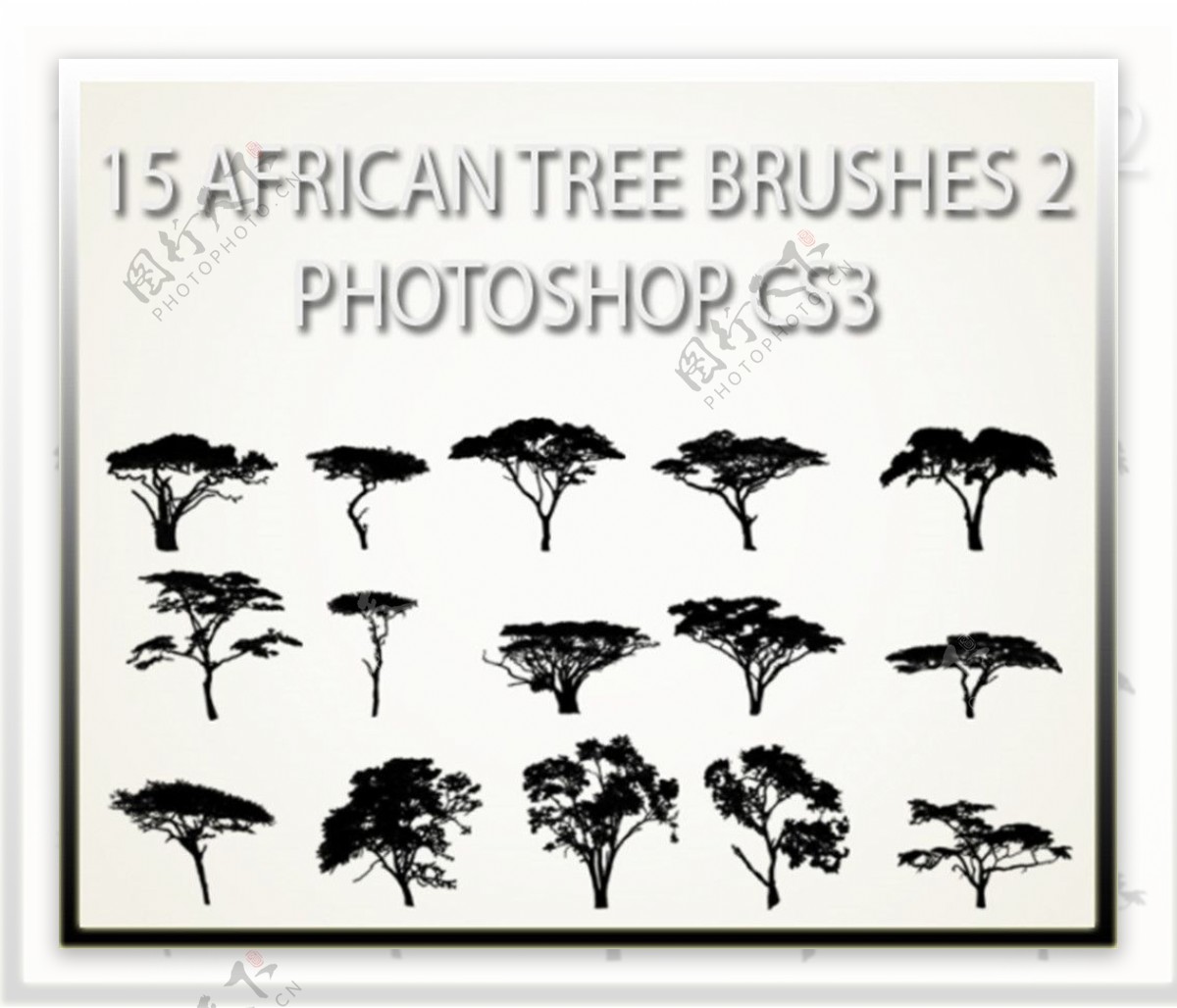 15种非洲草原树木剪影图形PS笔刷素材