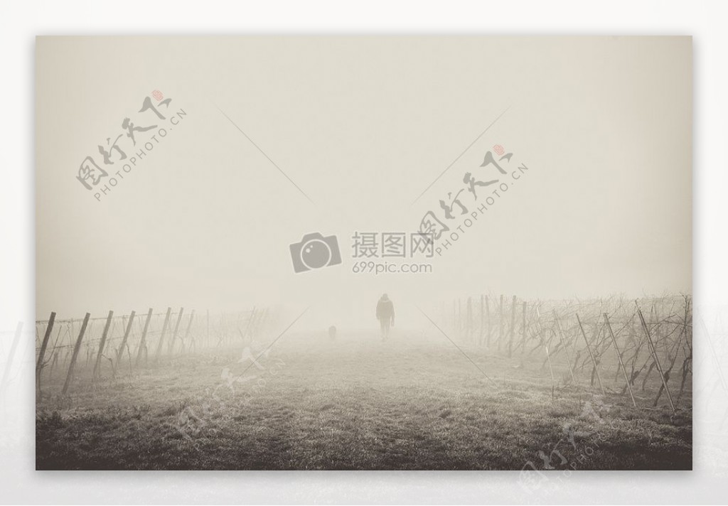 雾中骑自行车的人