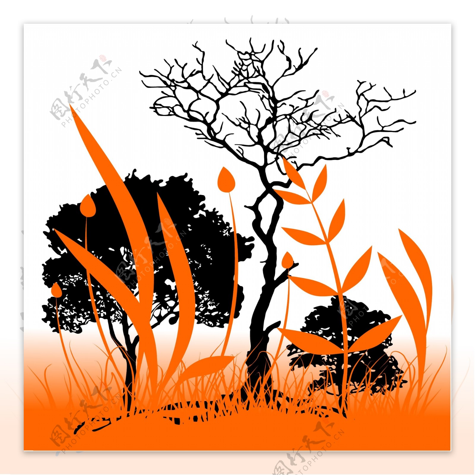 橙色的自然背景季节图案海报图