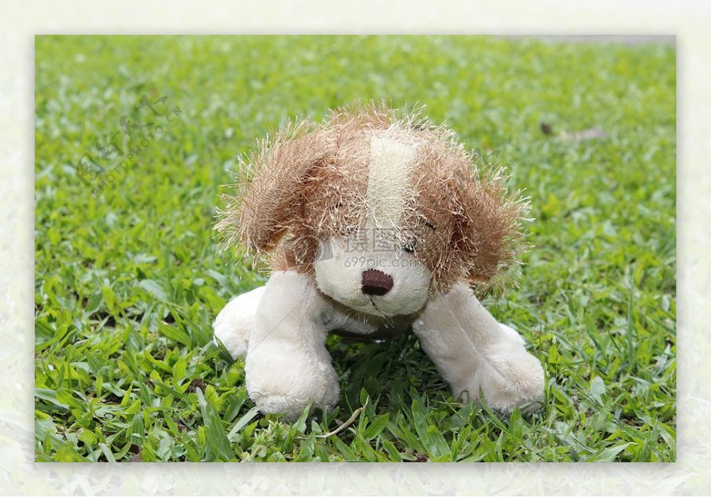 草地上的玩具狗