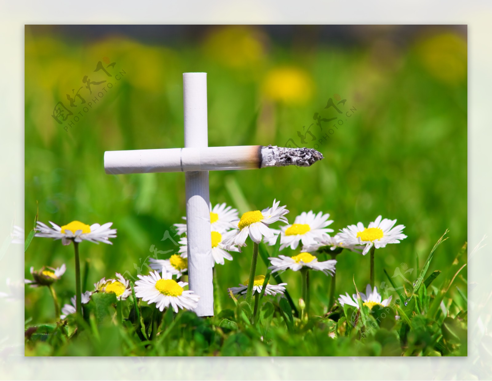 白色香烟十字架图片