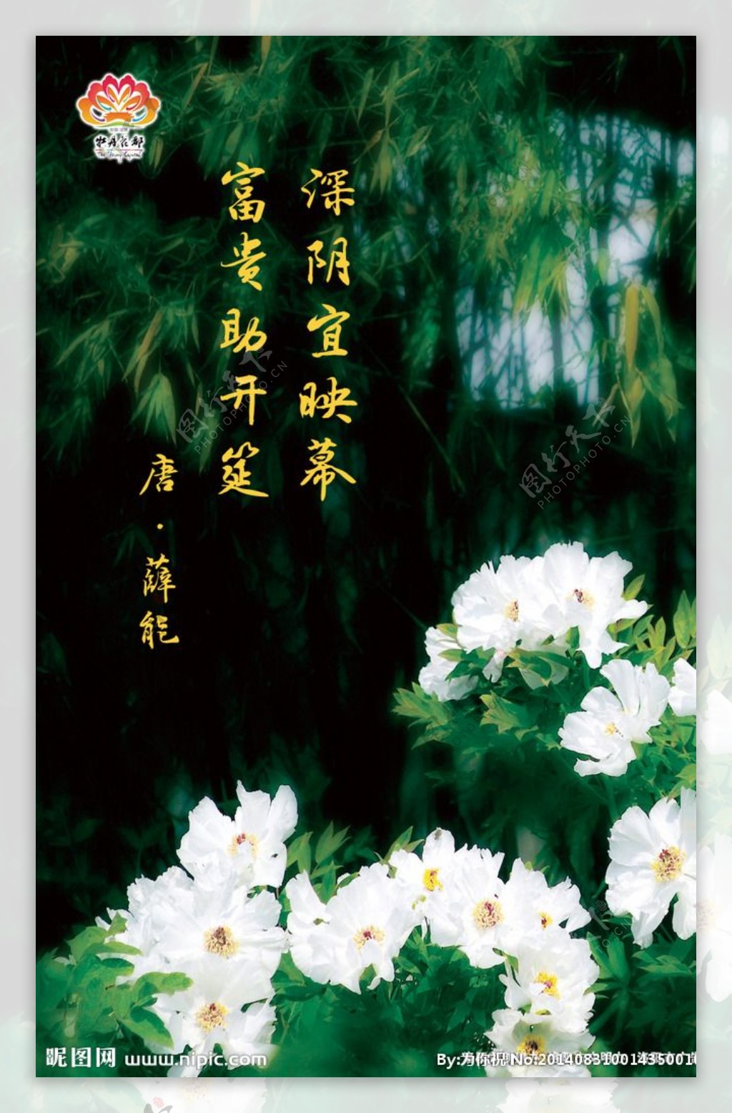 鲜花