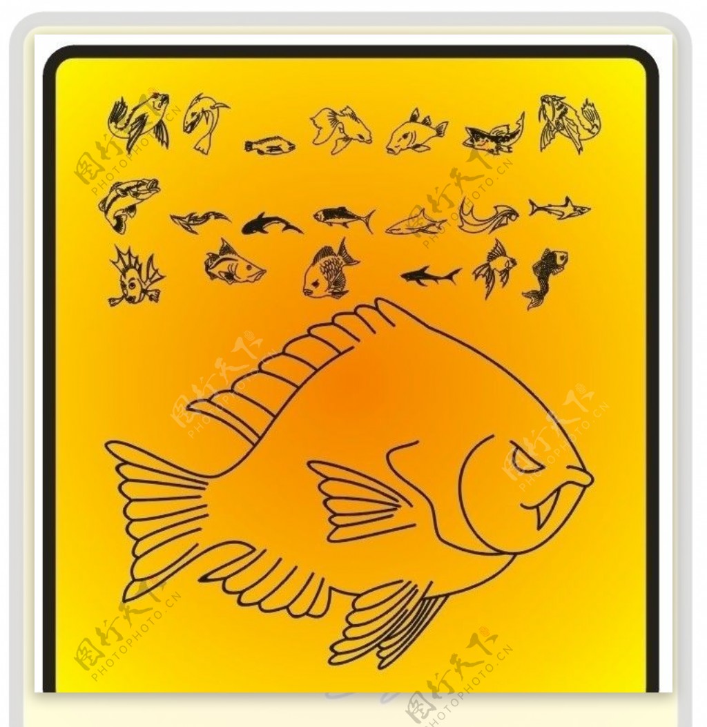 鱼矢量动物图案下载