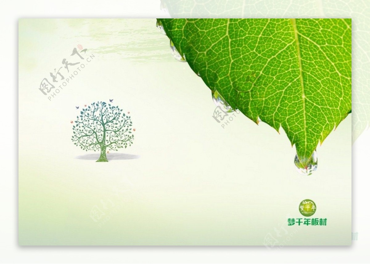 绿叶环保画册封面