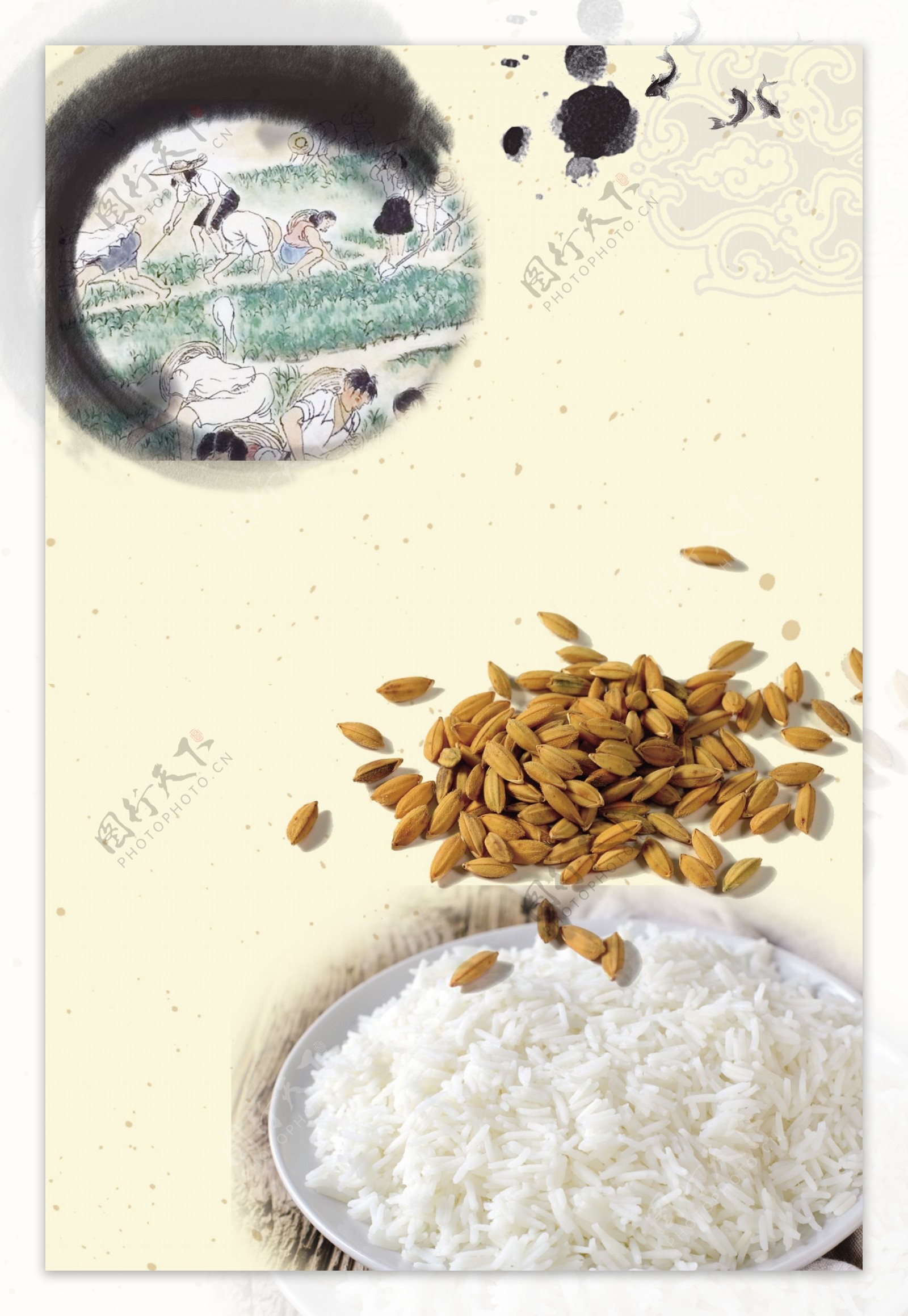白米饭与稻谷爱护粮食背景
