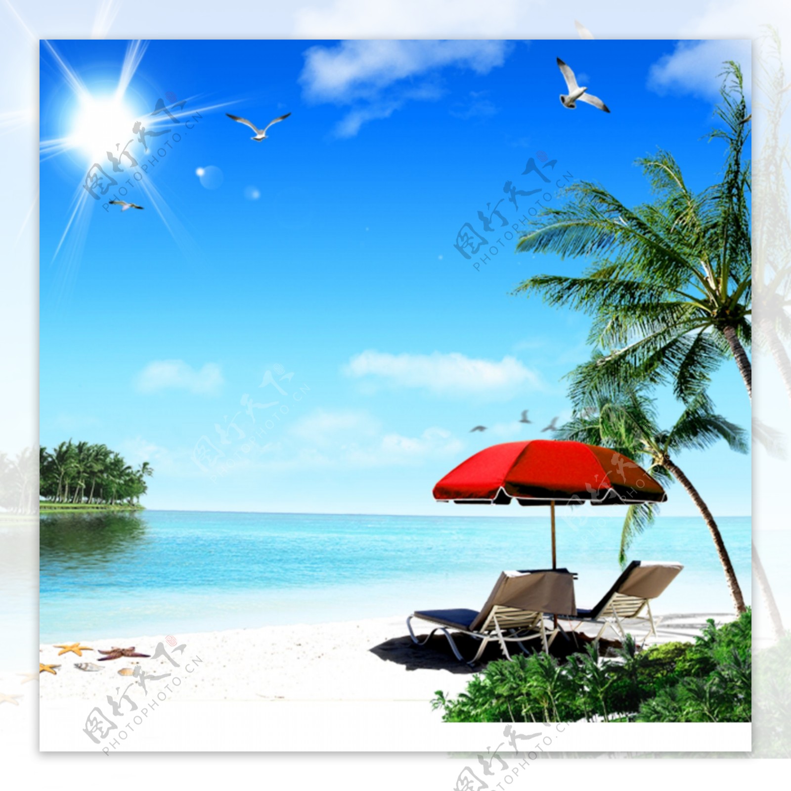 海滩椰子树图片素材-编号26670267-图行天下