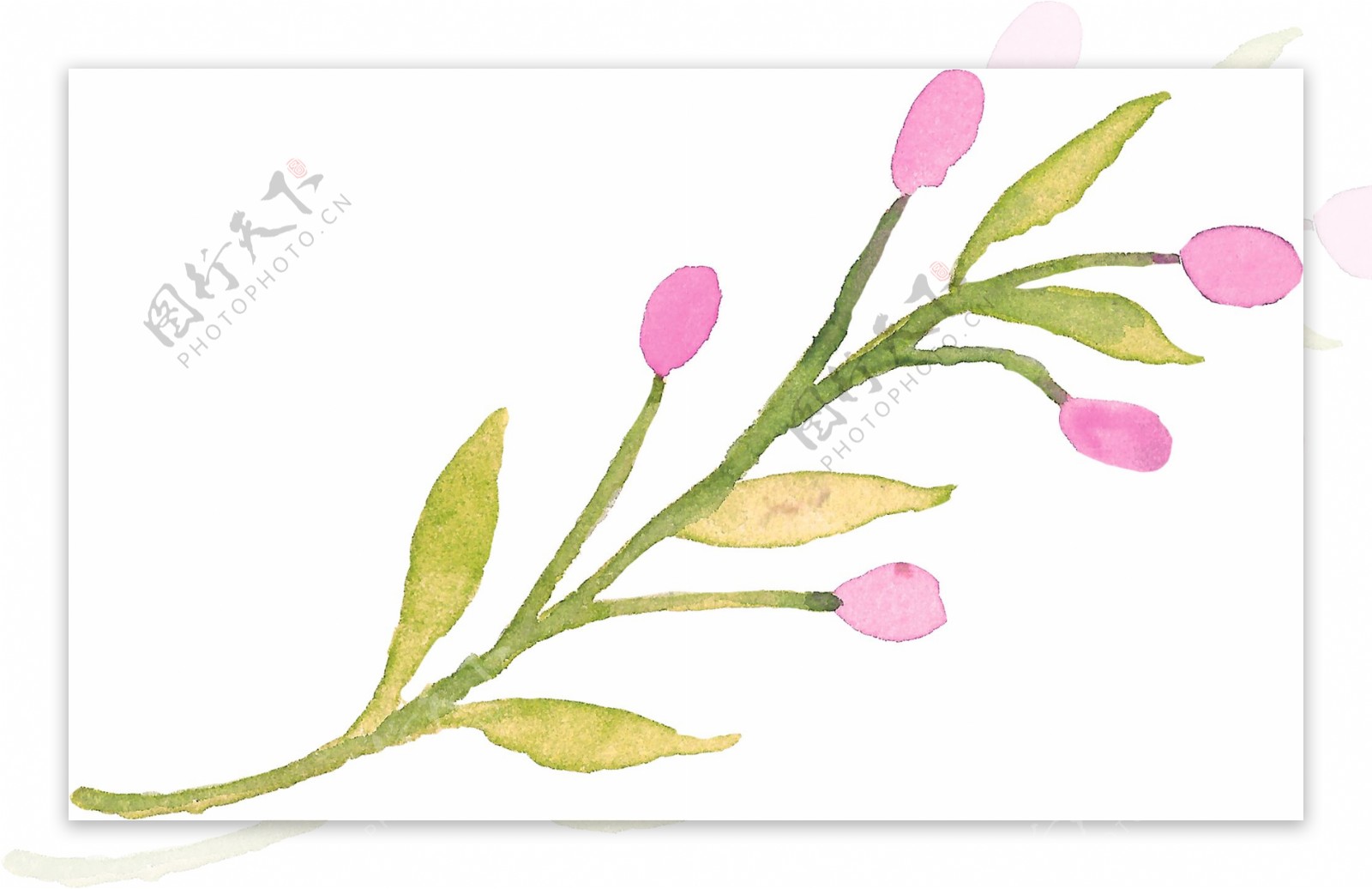 一枝美丽粉色花朵图片素材