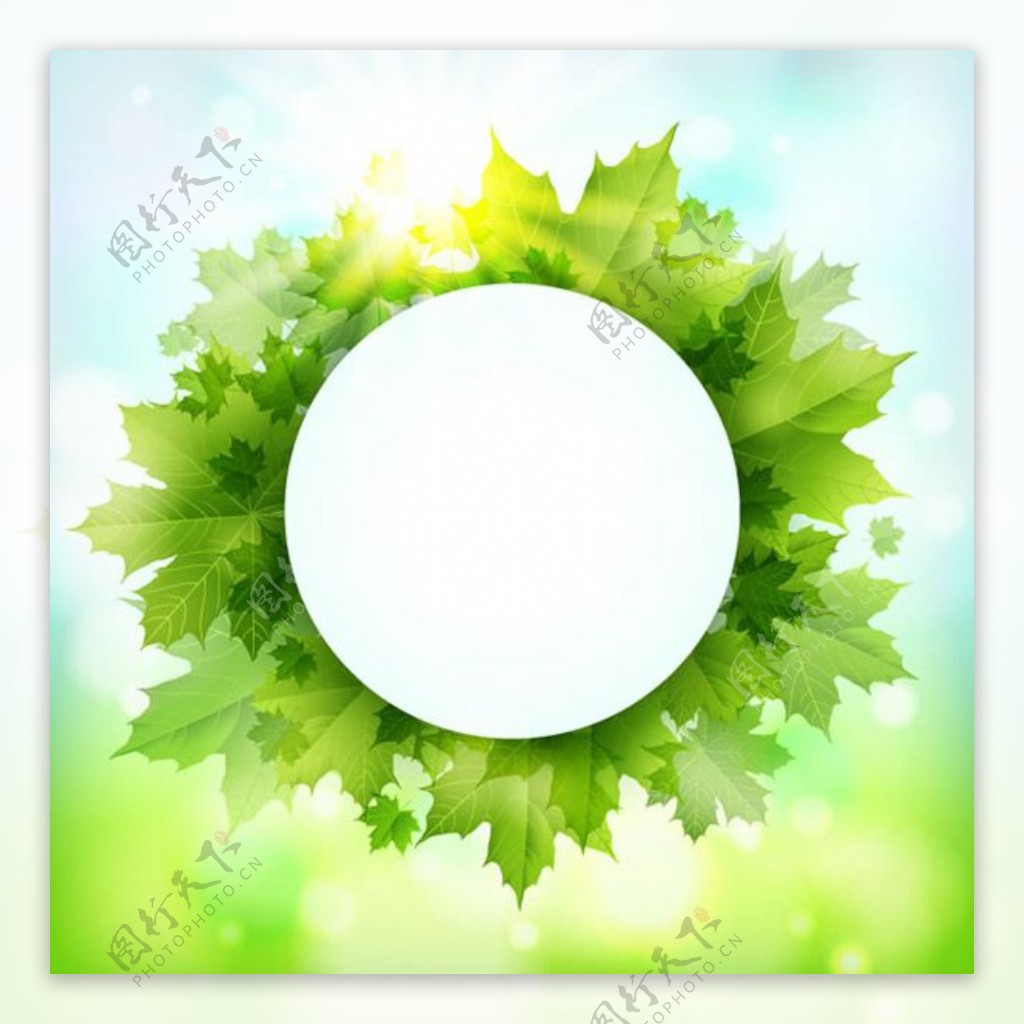 绿色枫叶装饰圆形标签背景矢量素材下载