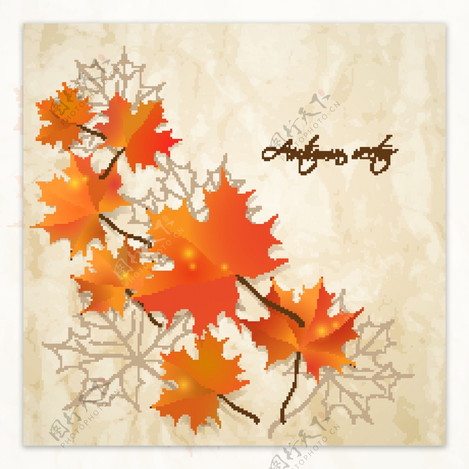 秋天树叶背景边框