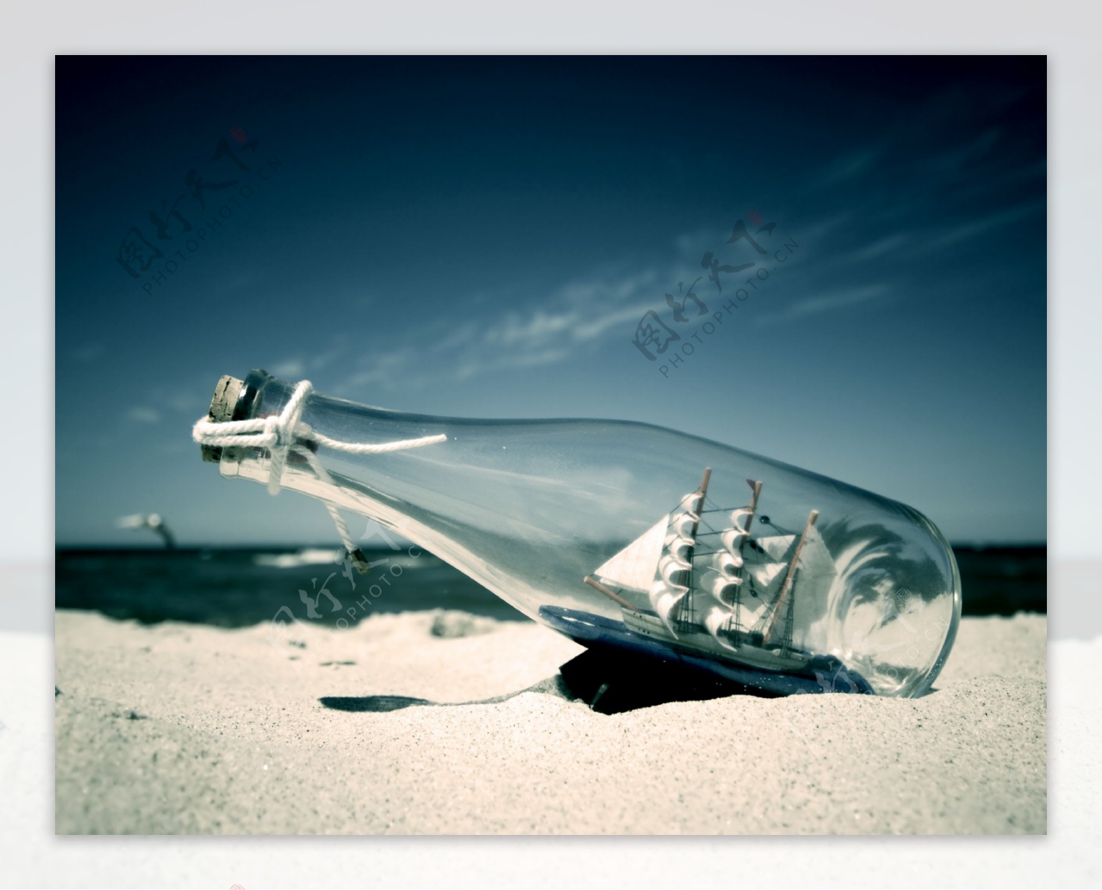 酒瓶天空沙滩海螺