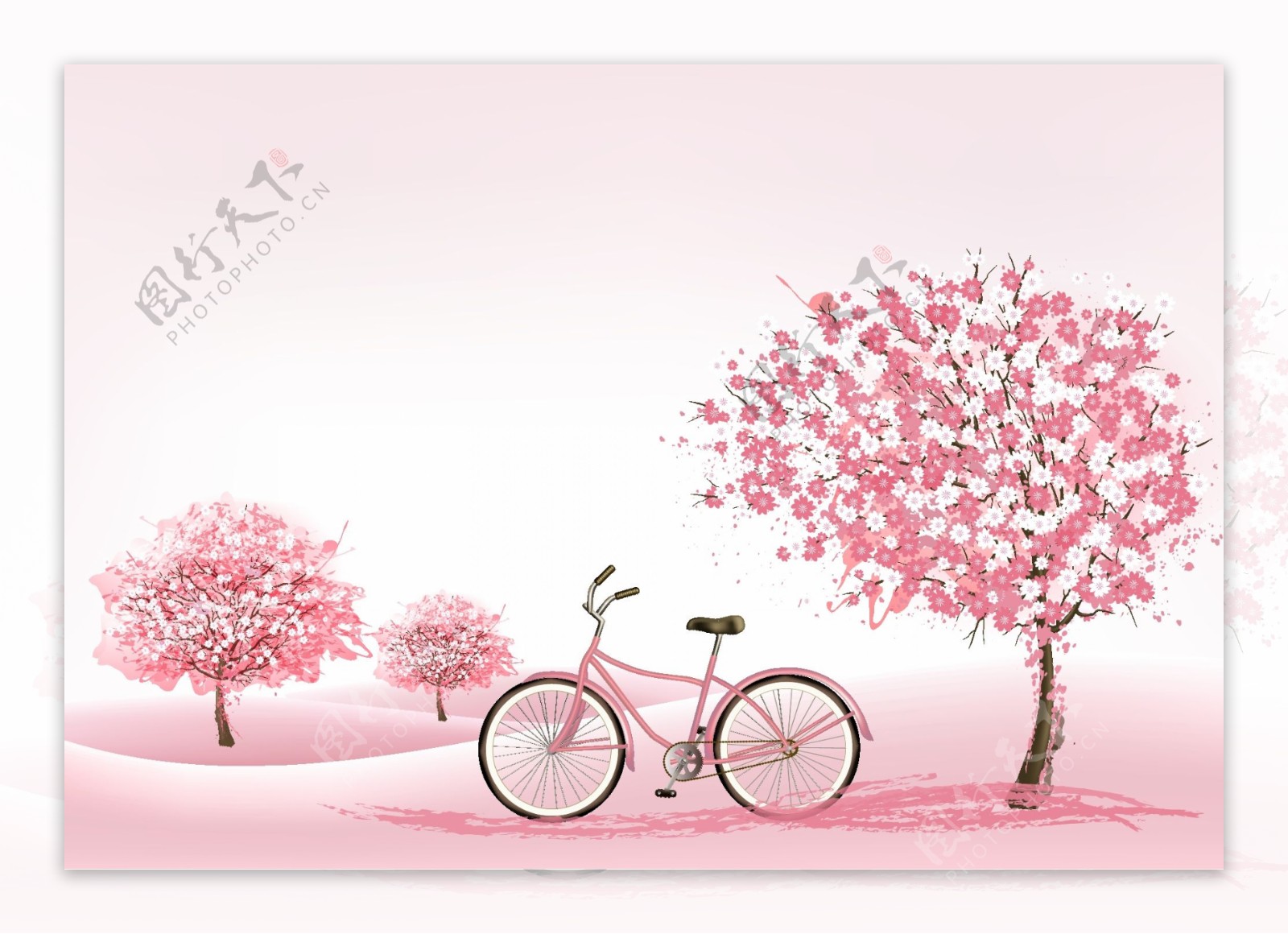 樱花树下的自行车