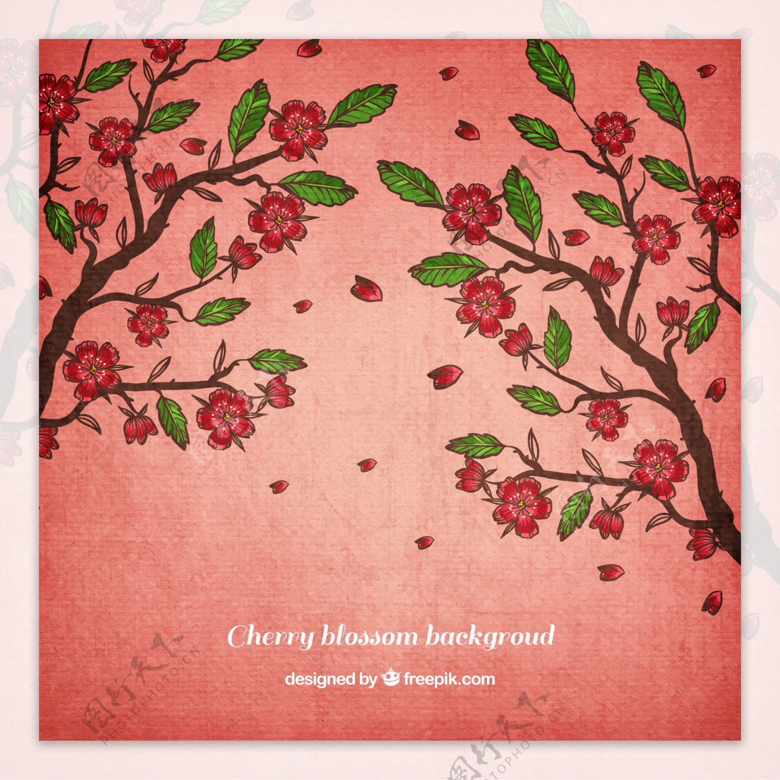 盛开的红色樱花树矢量素材