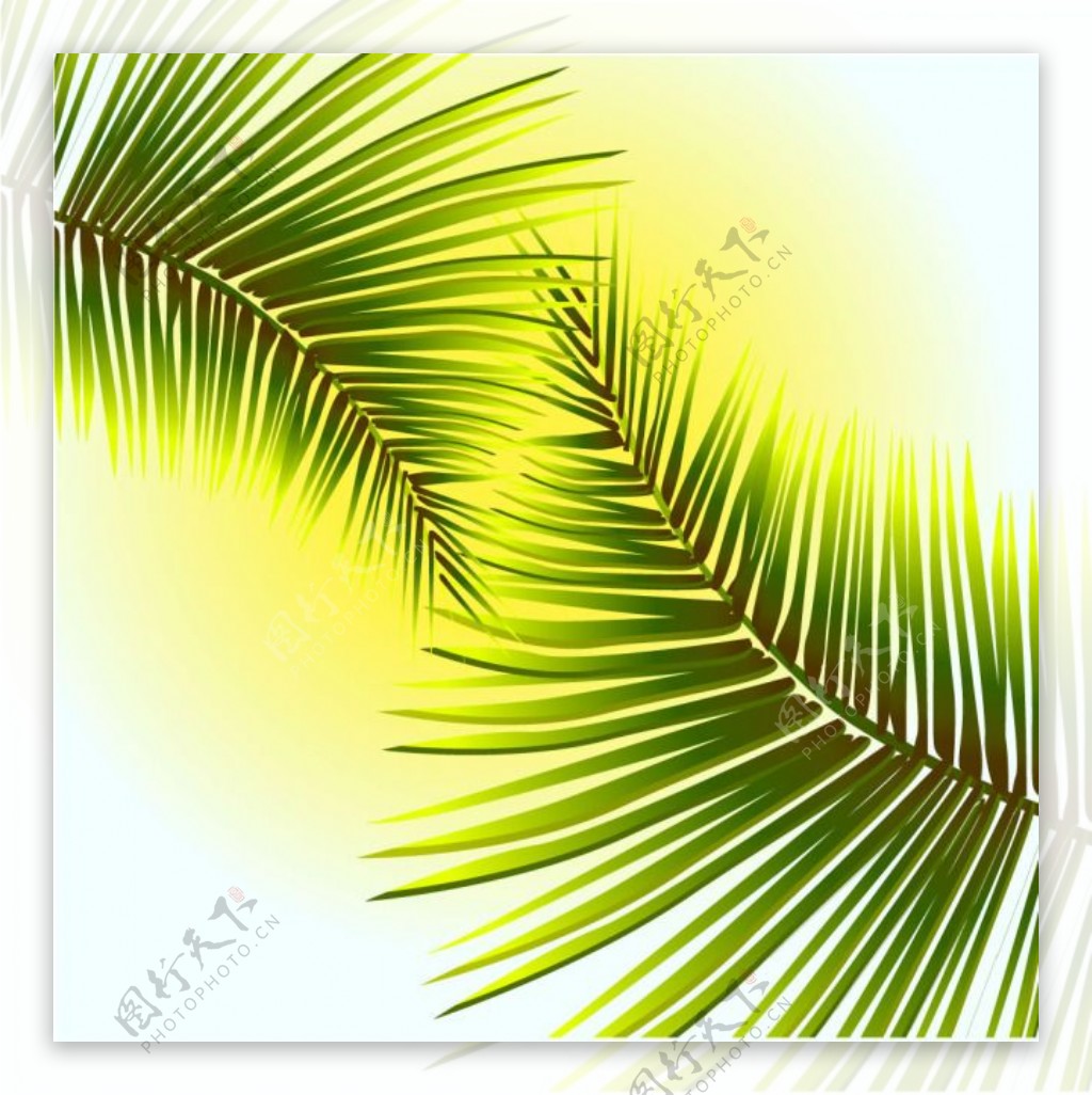 绿色的棕榈树叶背景矢量素材