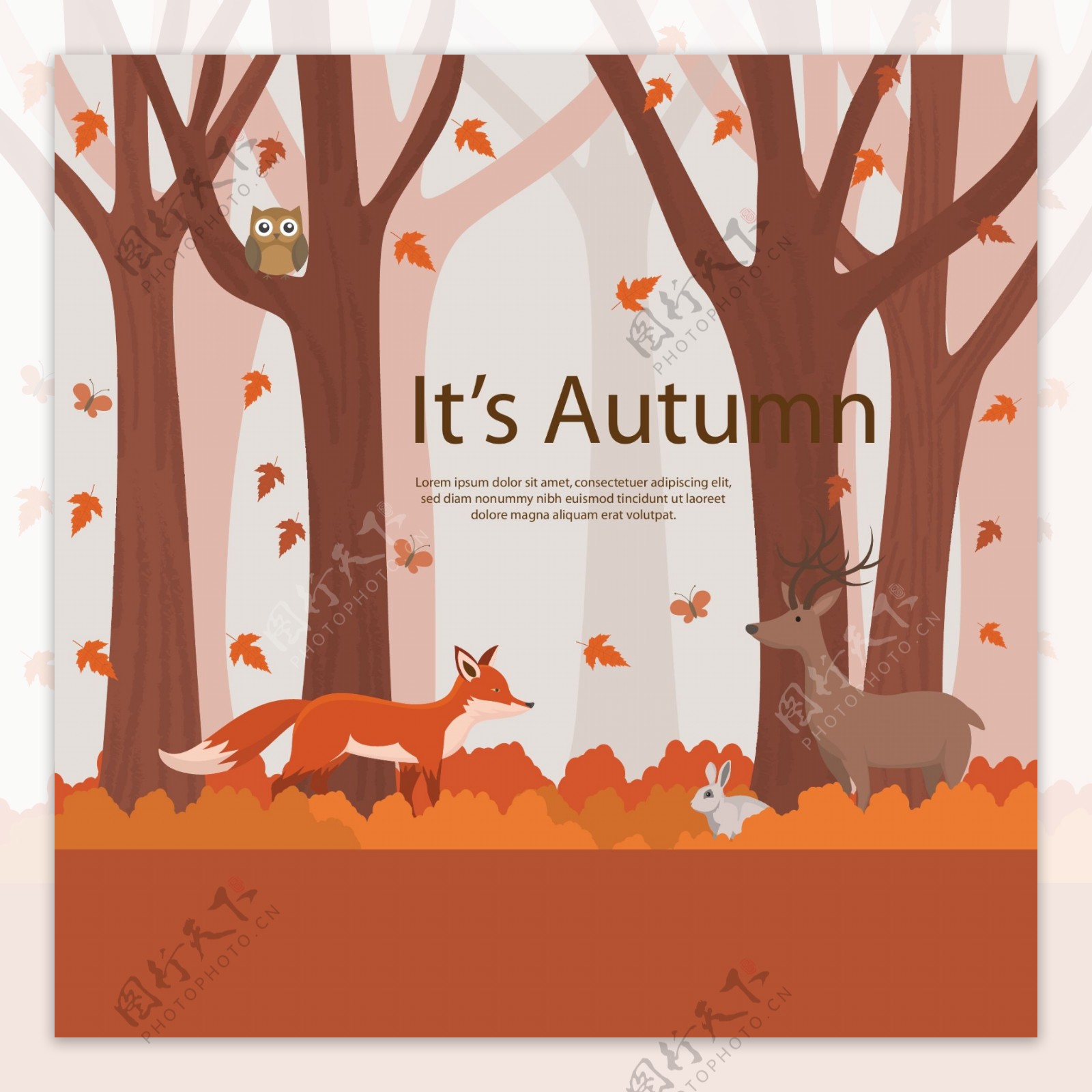 秋天的树林插画