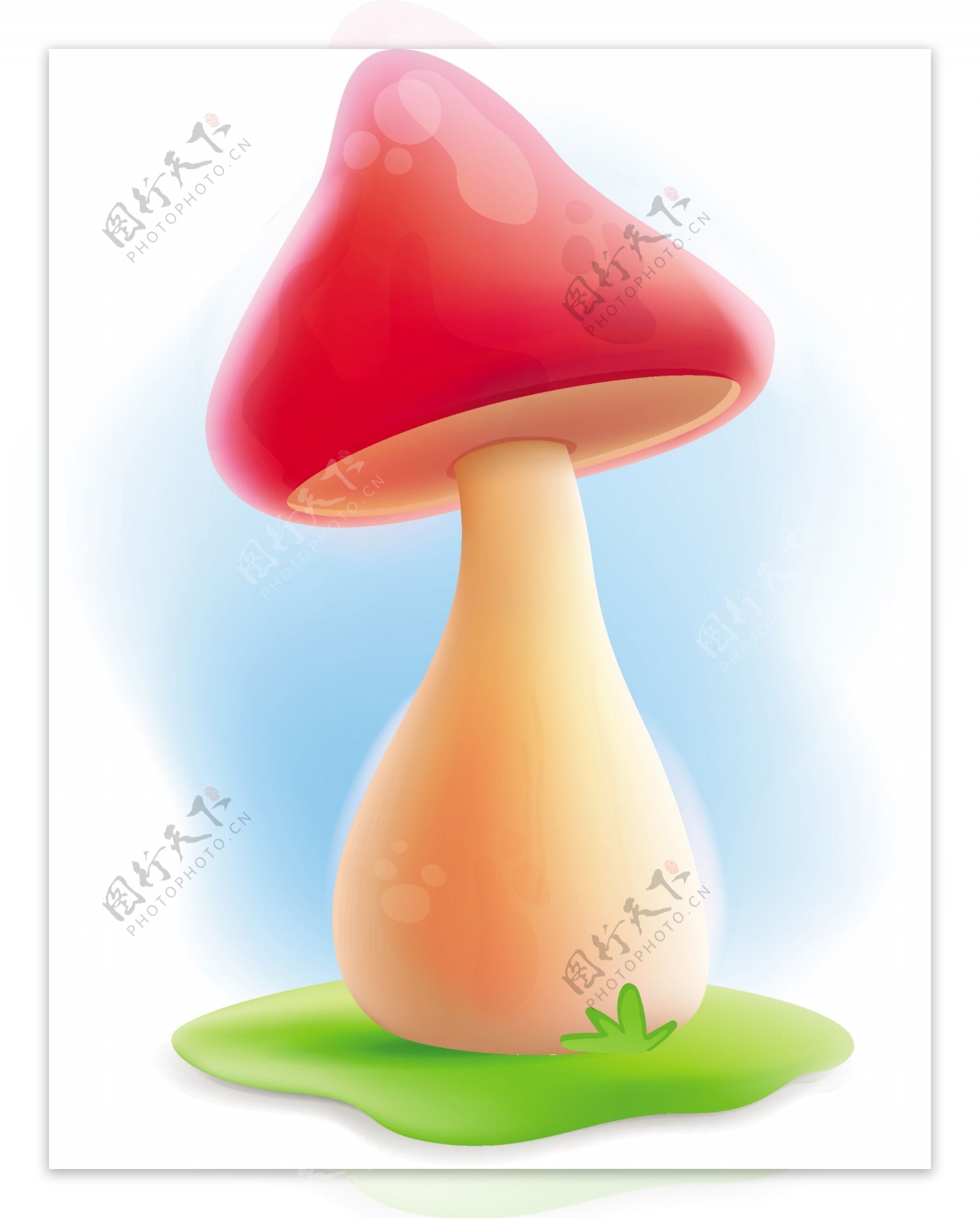 生长在草地上尖尖的红色蘑菇