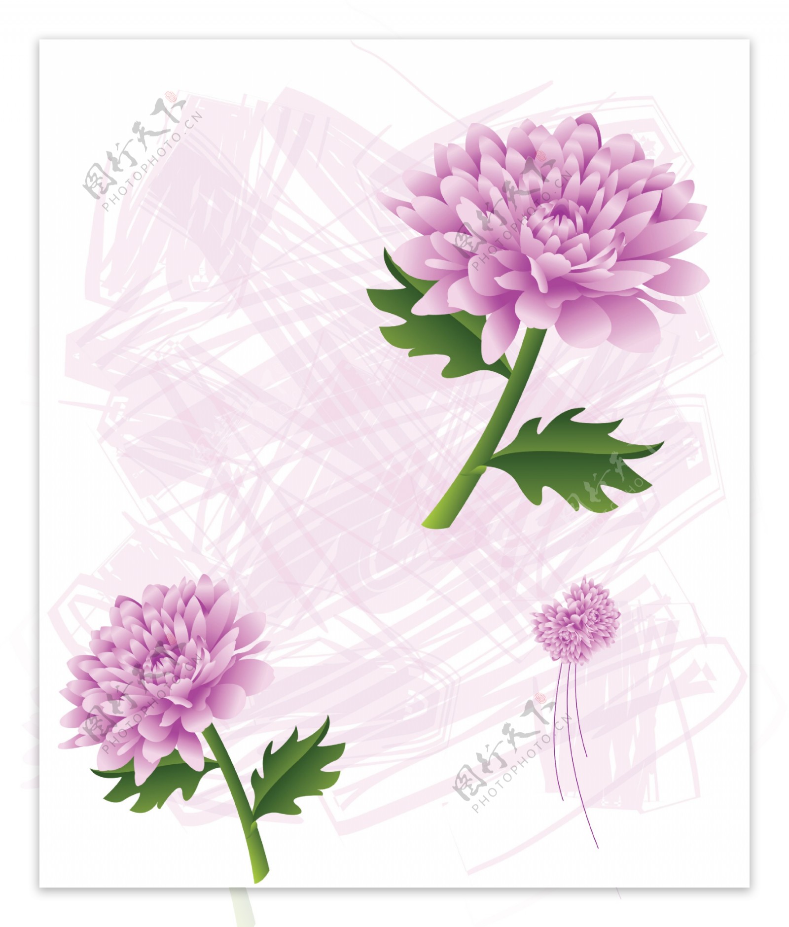 室内移门紫色菊花创意画