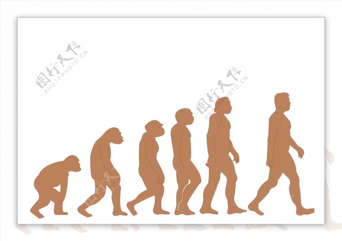 猿人原始人现代人