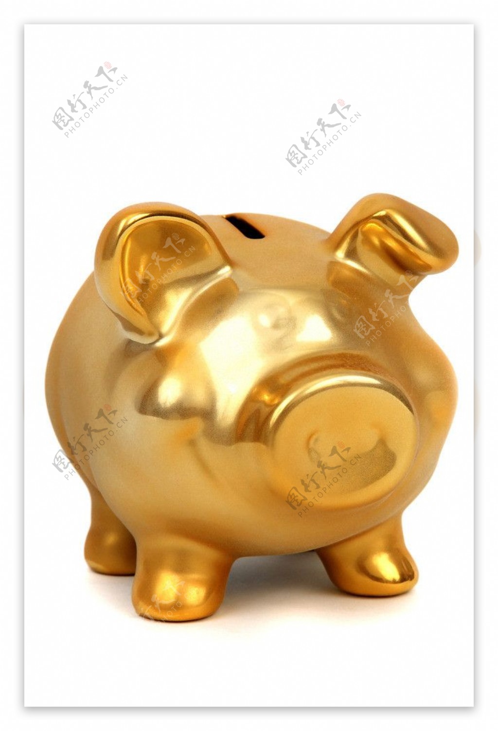 金猪储蓄罐