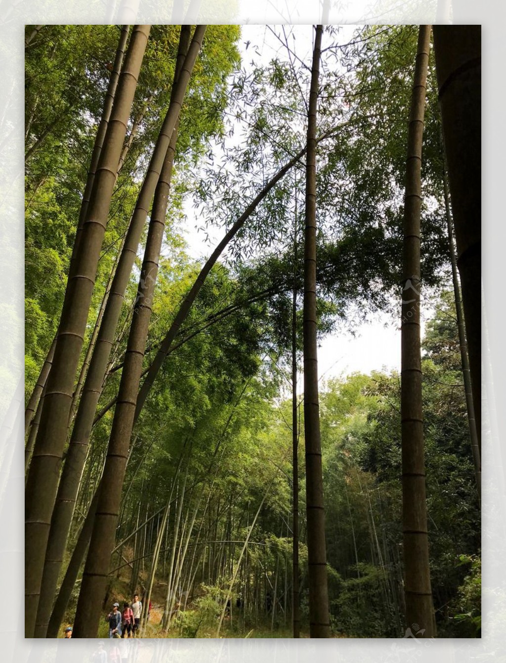 从化竹溪徒步