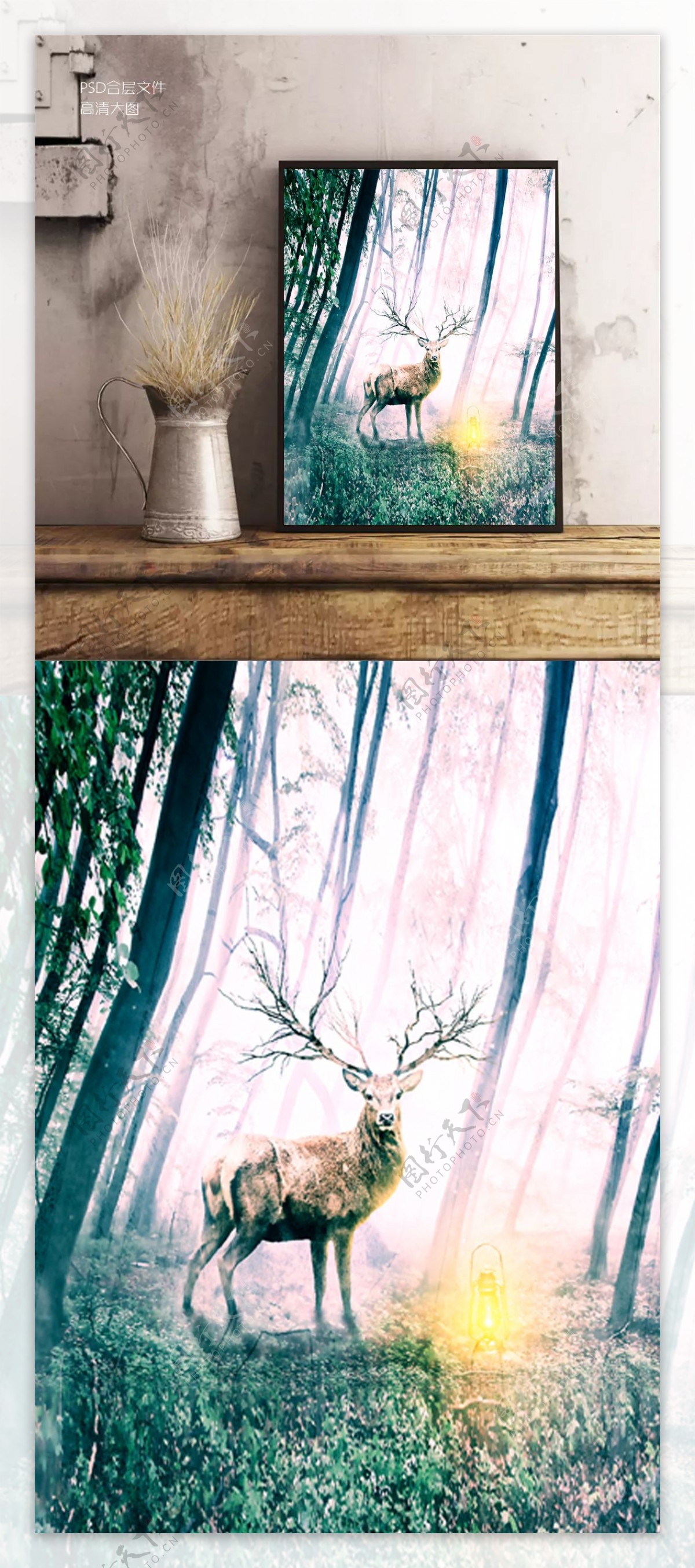 森林中的麋鹿高清摄影装饰画