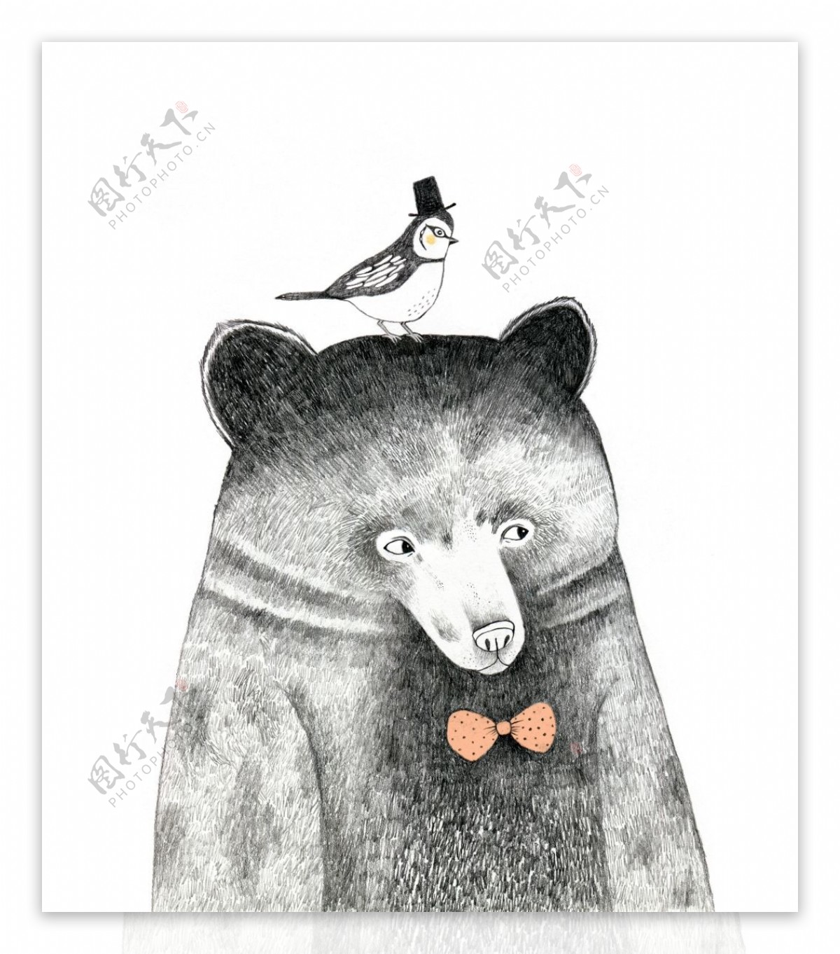 可爱的熊和小鸟装饰画