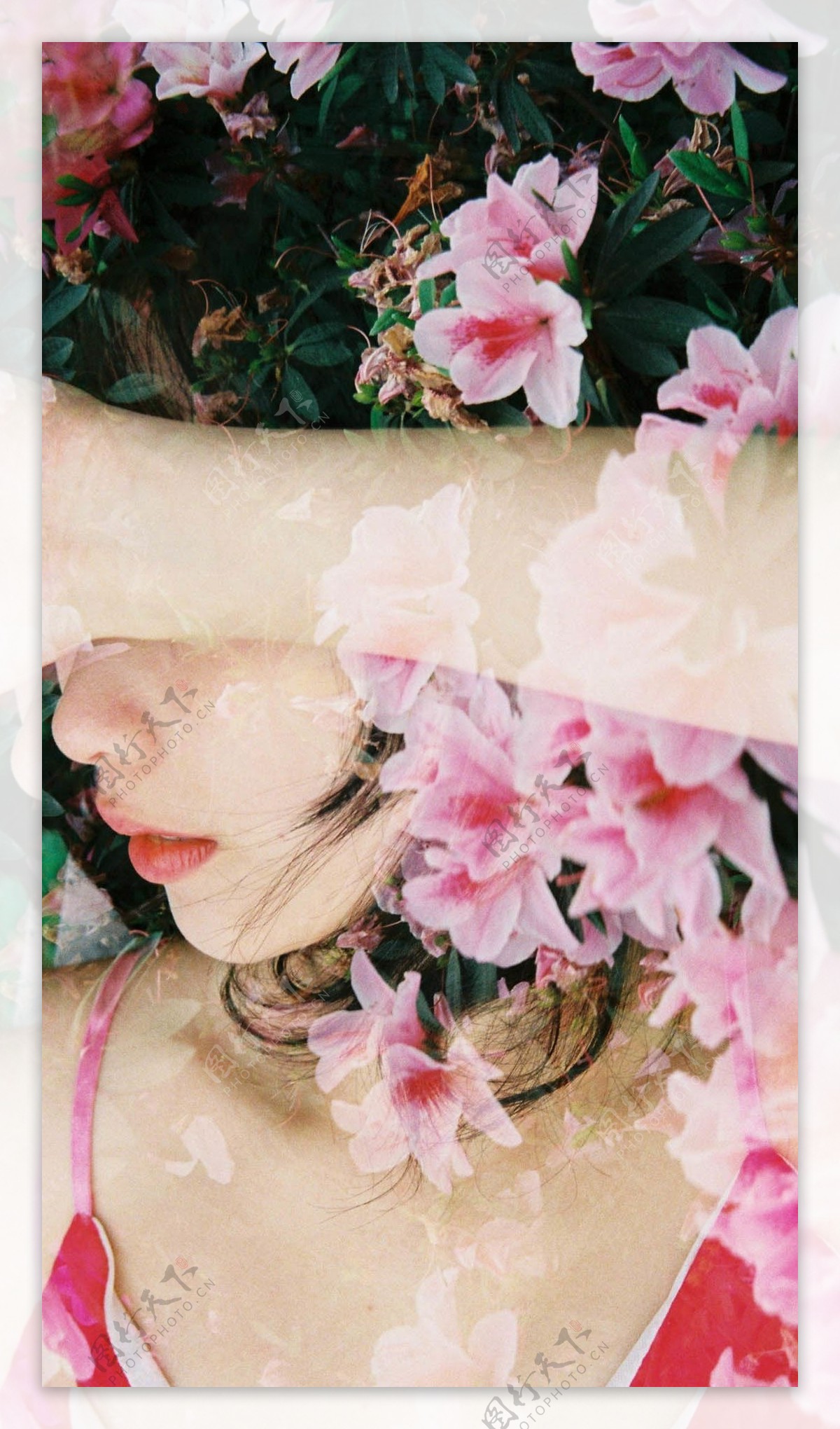 唯美粉色花朵美女H5背景素材