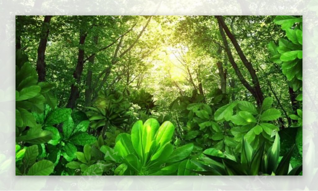 绿色森林LED大屏幕背景